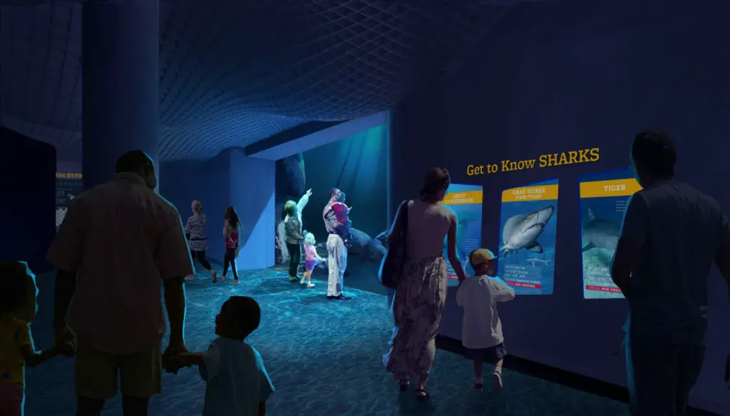 georgia aquarium breaks ground on expansion 2020