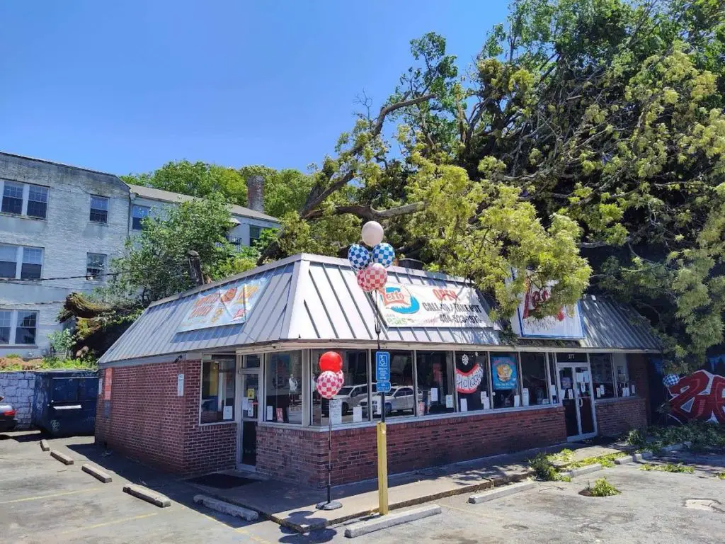 Massive Tree 'Knocks' Iconic Little 5 Points Restaurant 'Out of Business'