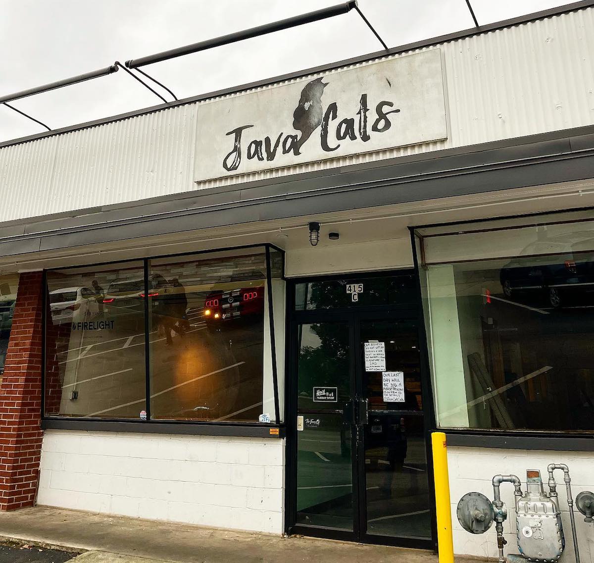 Java Cats Shutters Its Memorial Drive Cat Cafe