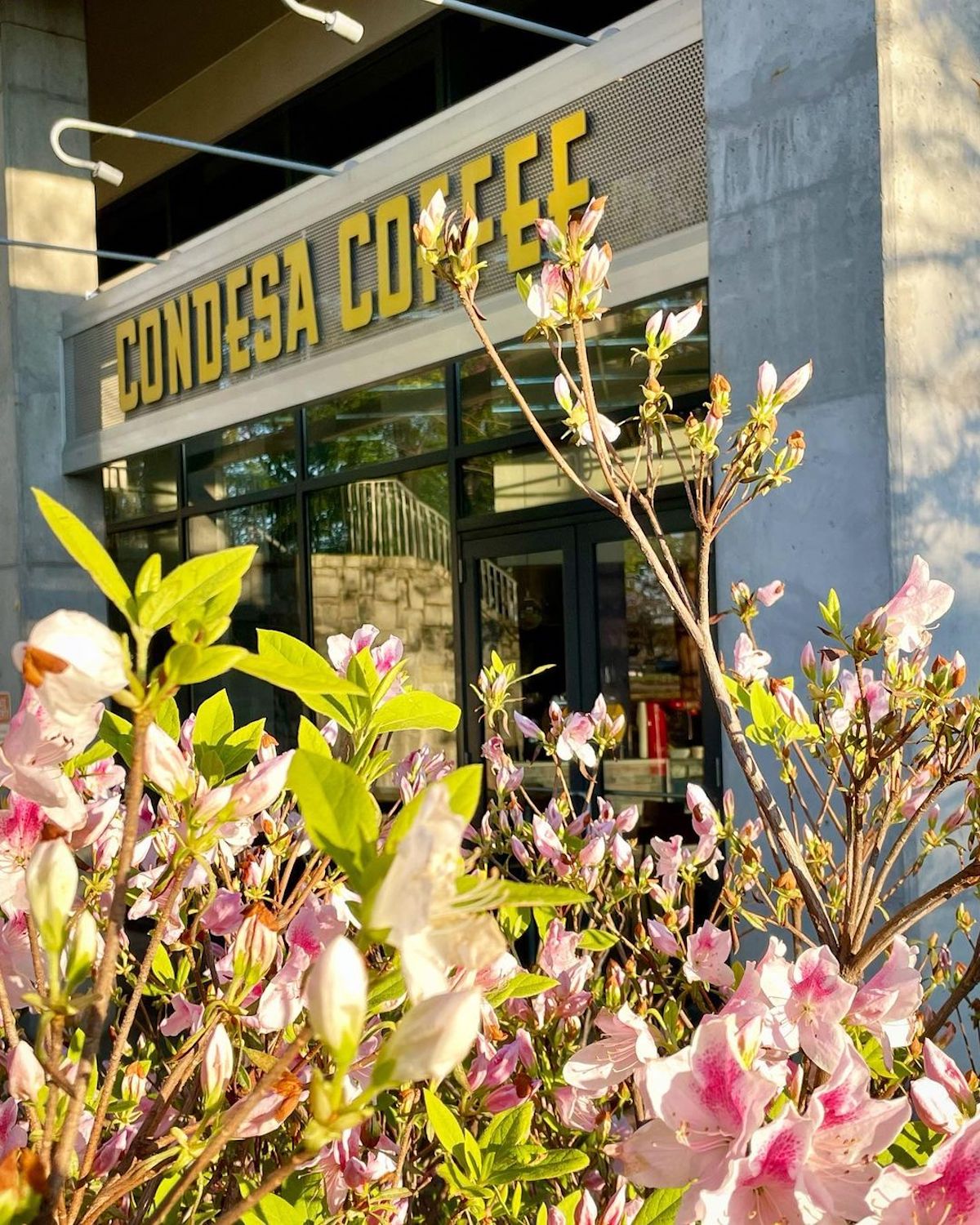 Old Fourth Ward’s Condesa Coffee Cafe Gets New Owner